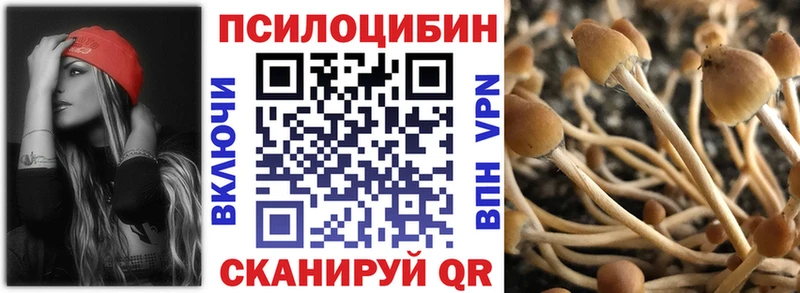 цена наркотик  Вяземский  Псилоцибиновые грибы Magic Shrooms 